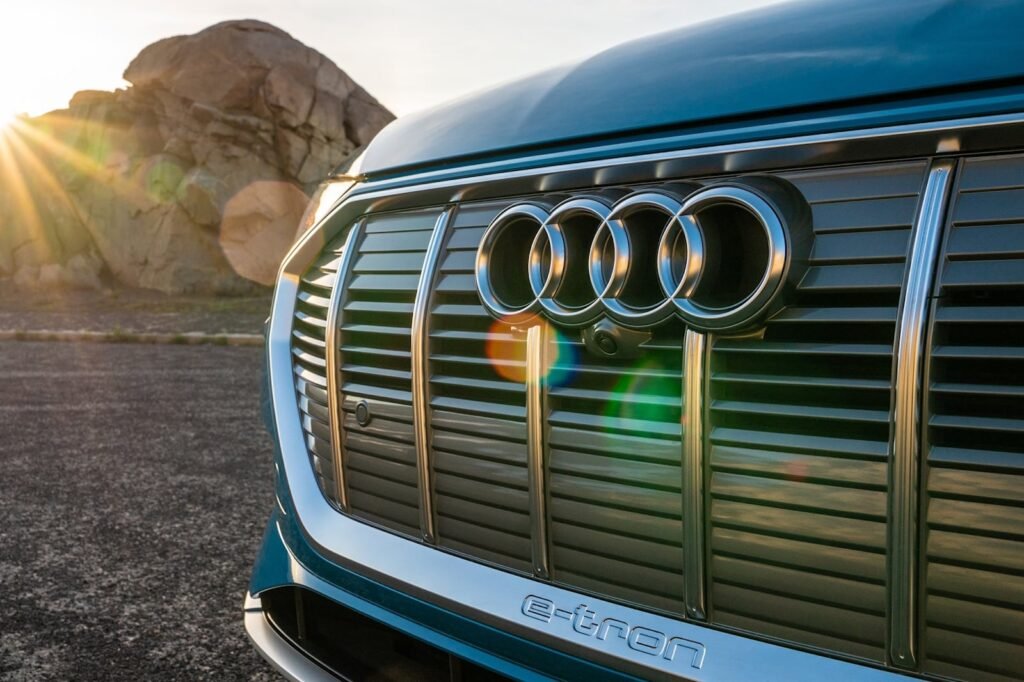 audi-boss-defies-german-government-over-combustion-stance
