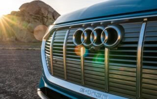 audi-boss-defies-german-government-over-combustion-stance