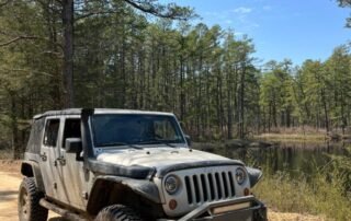 ain’t-anything-crazy-but-she-gets-the-job-done